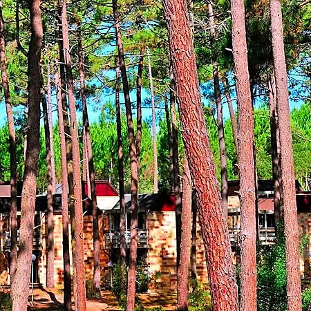 Resort Vtf Les Bruyeres Maubuisson