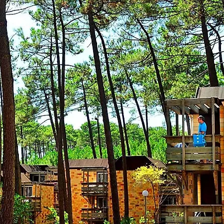 Resort Vtf Les Bruyeres
