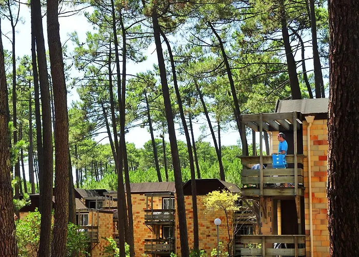 Vtf Les Bruyeres 리조트 3*