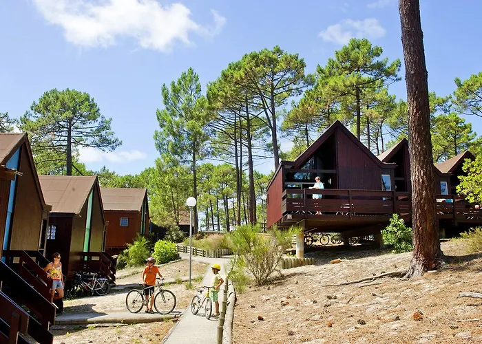 Vtf Les Bruyeres 마우비센