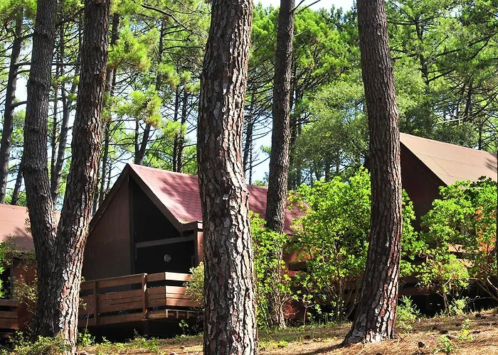 Vtf Les Bruyeres 3* Maubuisson