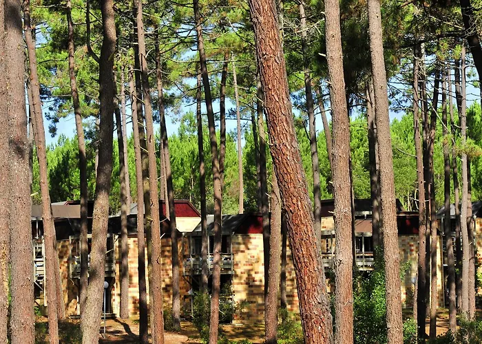 Vtf Les Bruyeres Maubuisson