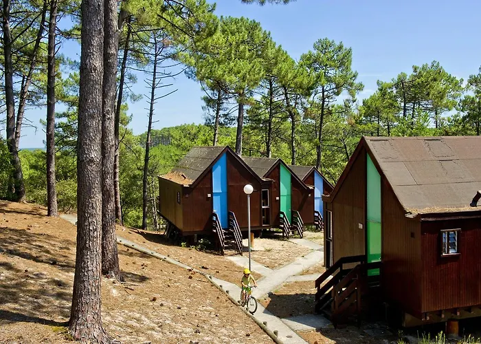 리조트 Vtf Les Bruyeres